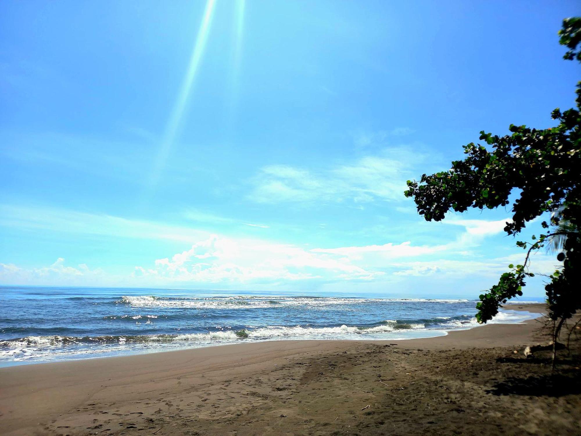 Tortuguero Adventures Beach House Exteriér fotografie