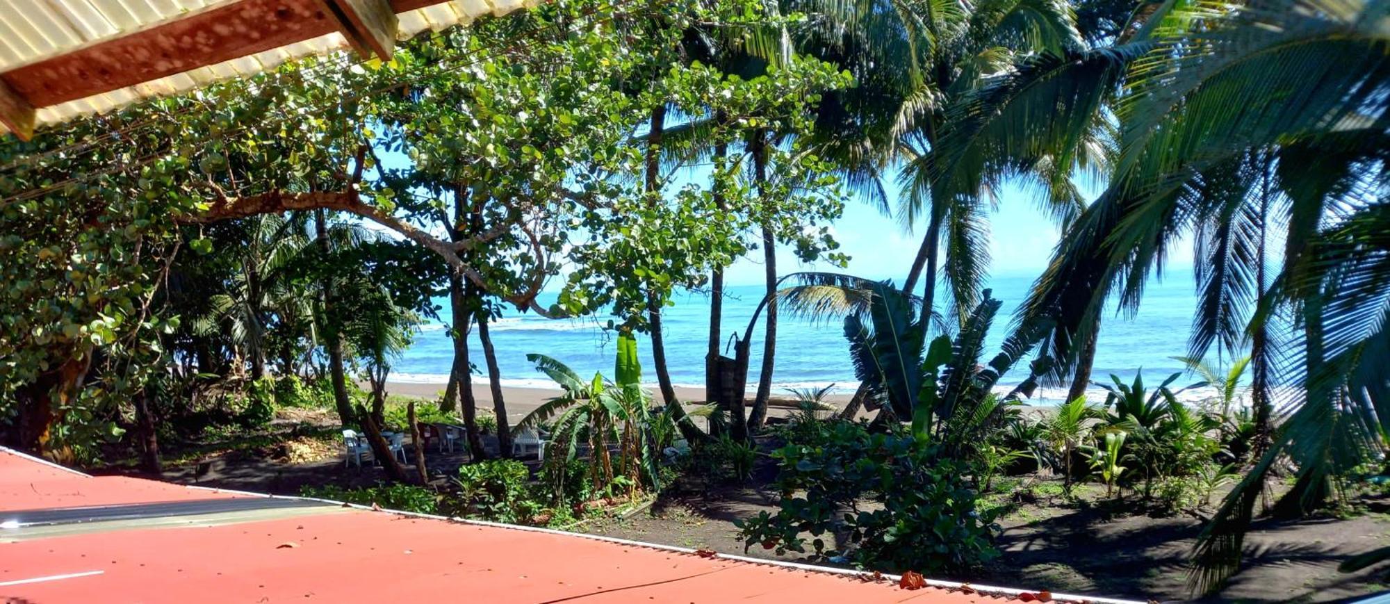 Tortuguero Adventures Beach House Exteriér fotografie