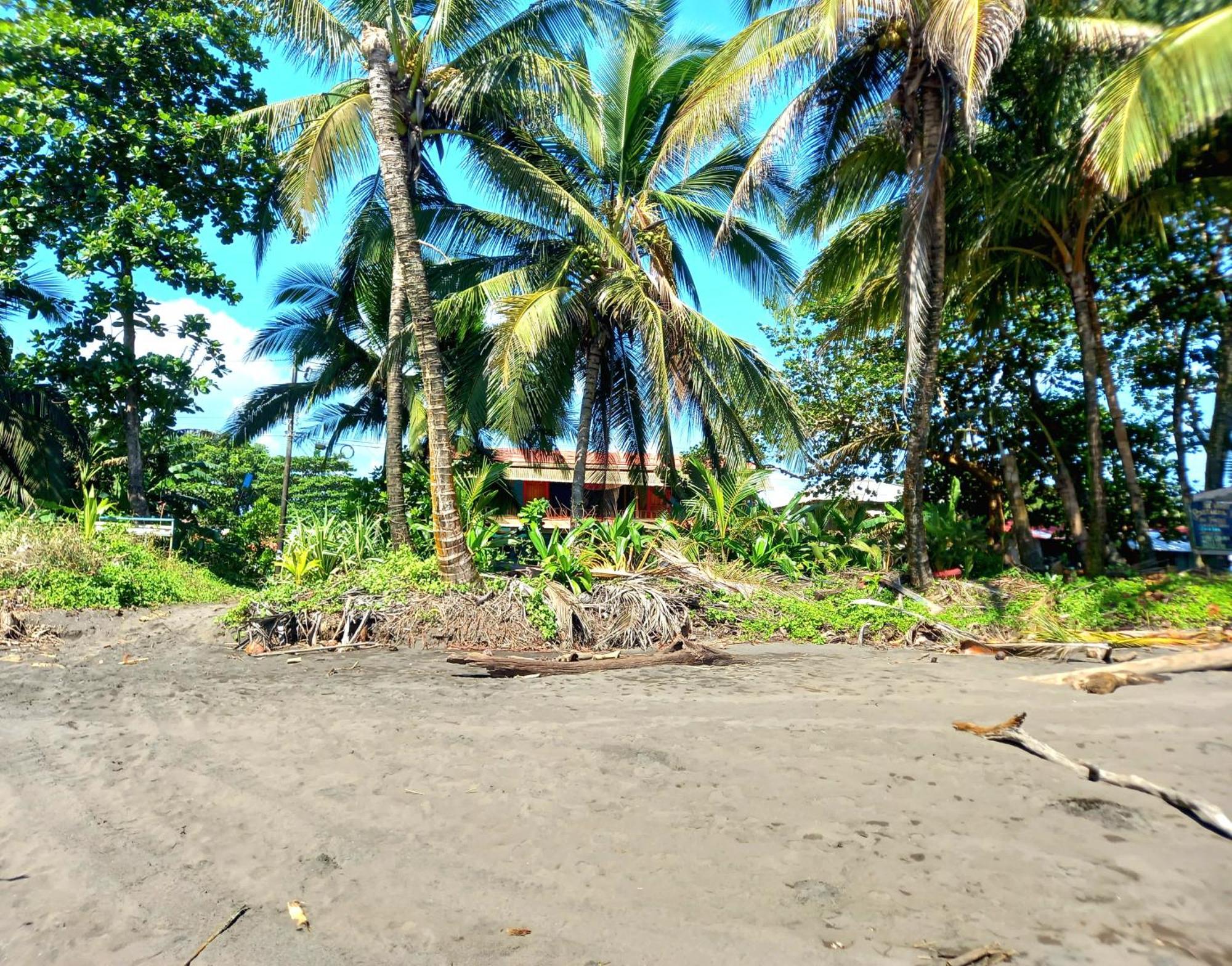 Tortuguero Adventures Beach House Exteriér fotografie