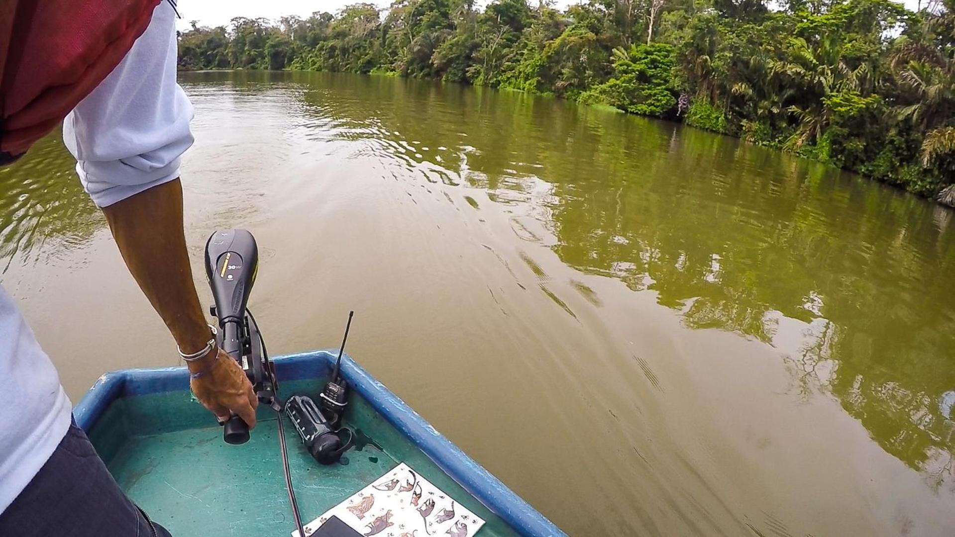 Tortuguero Adventures Beach House Exteriér fotografie