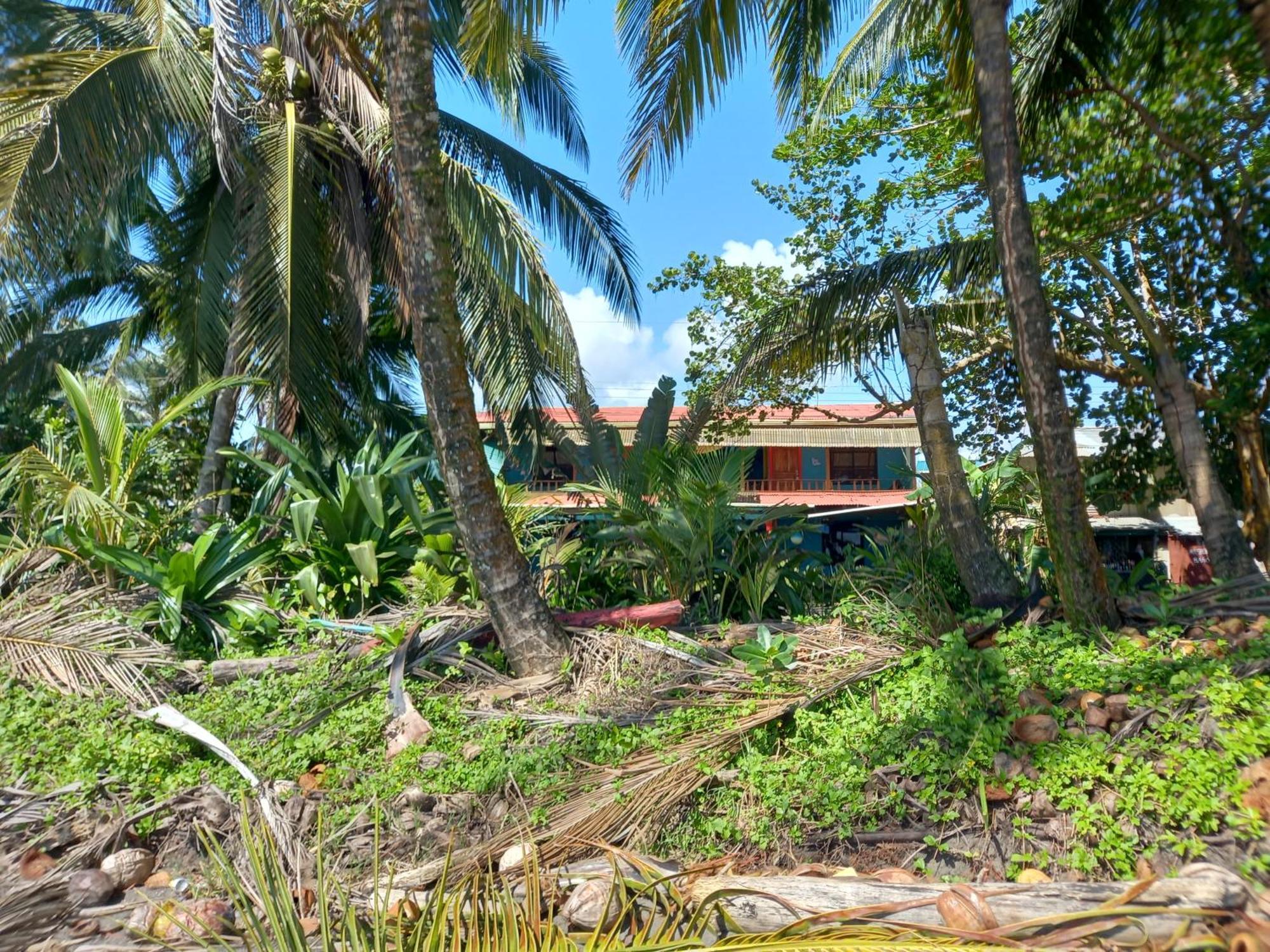 Tortuguero Adventures Beach House Exteriér fotografie