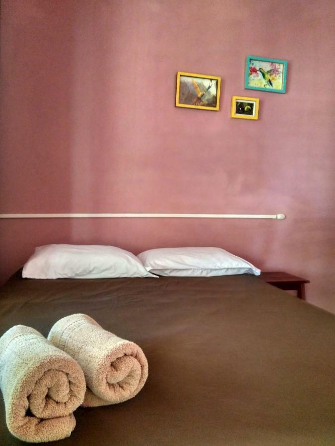 Tortuguero Adventures Beach House Exteriér fotografie